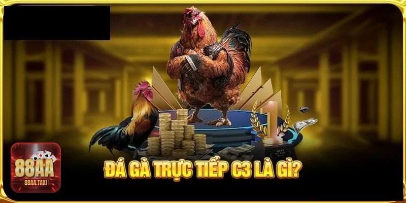 Thuật ngữ đá gà - Nhóm thuật ngữ thường gặp Thuật ngữ đá gà - Nhóm thuật ngữ thường gặp